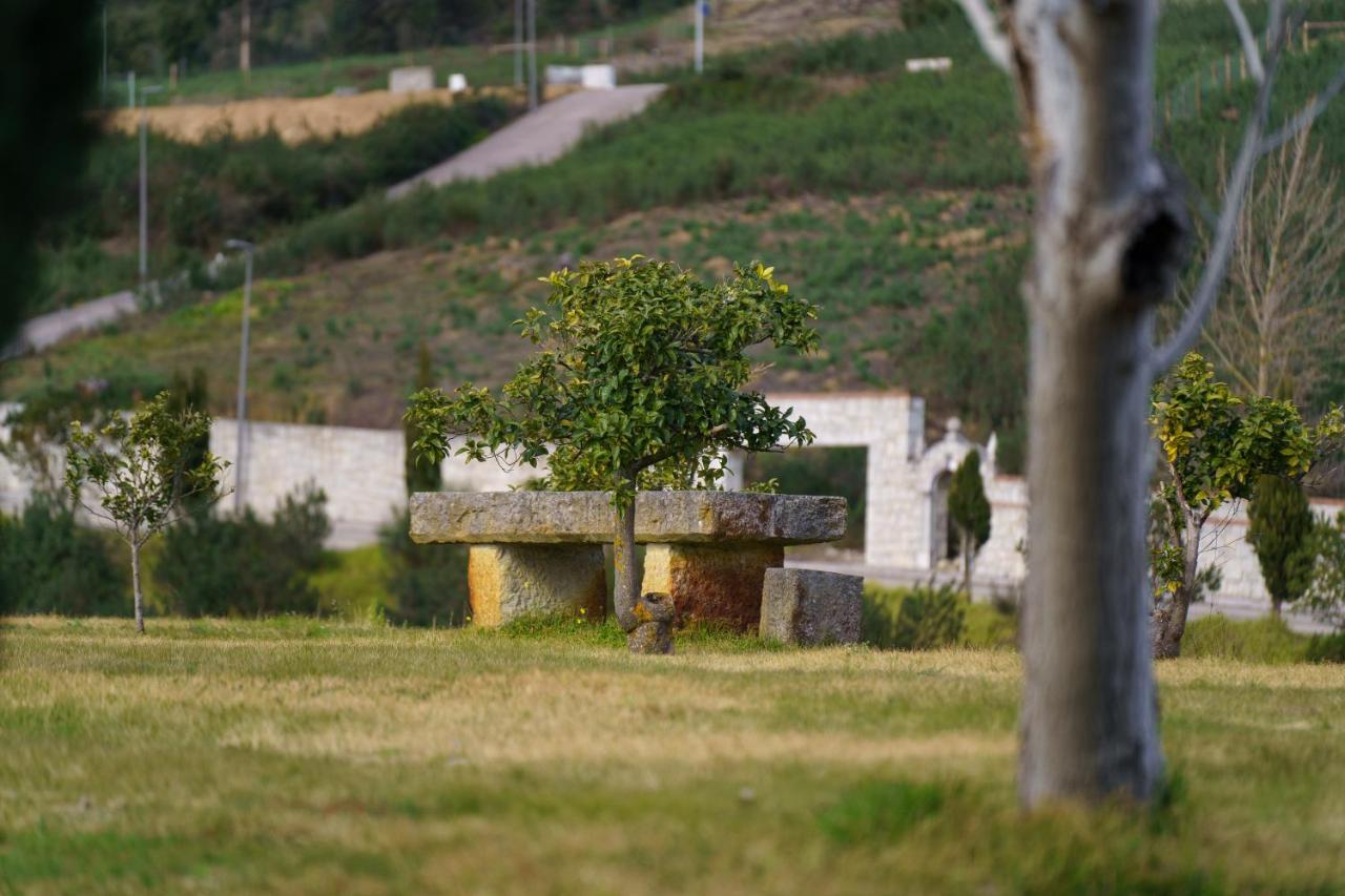 Quinta De Santa Barbara By Heavens Sleepy Hotel Constância Buitenkant foto