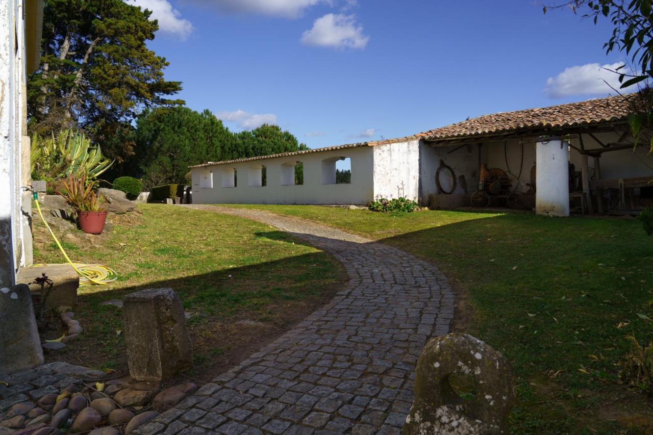 Quinta De Santa Barbara By Heavens Sleepy Hotel Constância Buitenkant foto