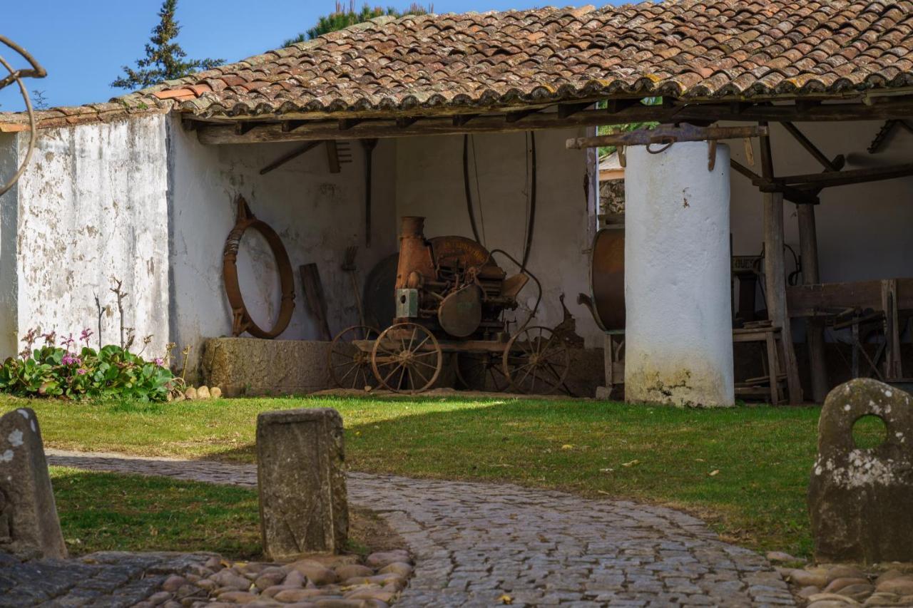 Quinta De Santa Barbara By Heavens Sleepy Hotel Constância Buitenkant foto