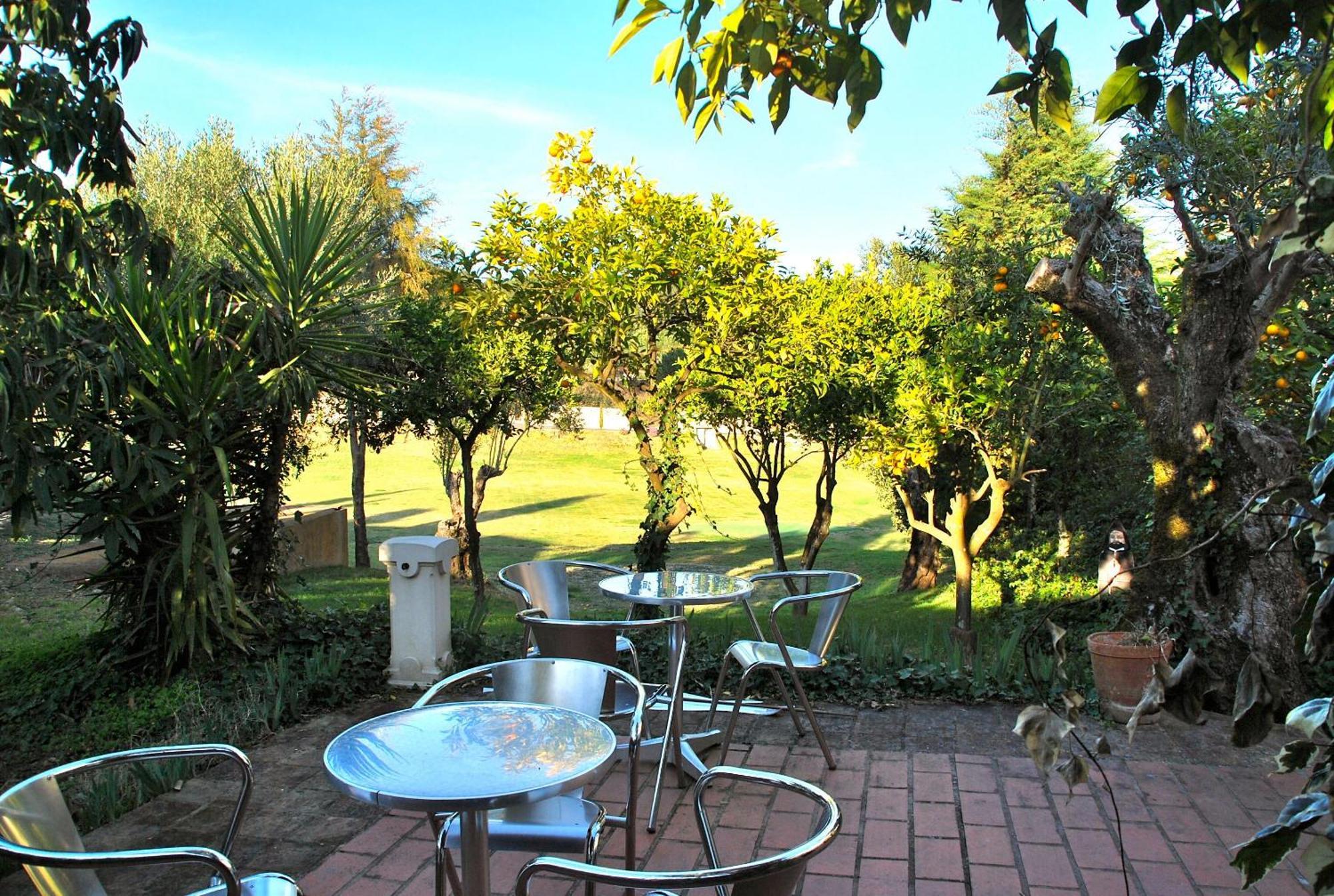 Quinta De Santa Barbara By Heavens Sleepy Hotel Constância Buitenkant foto