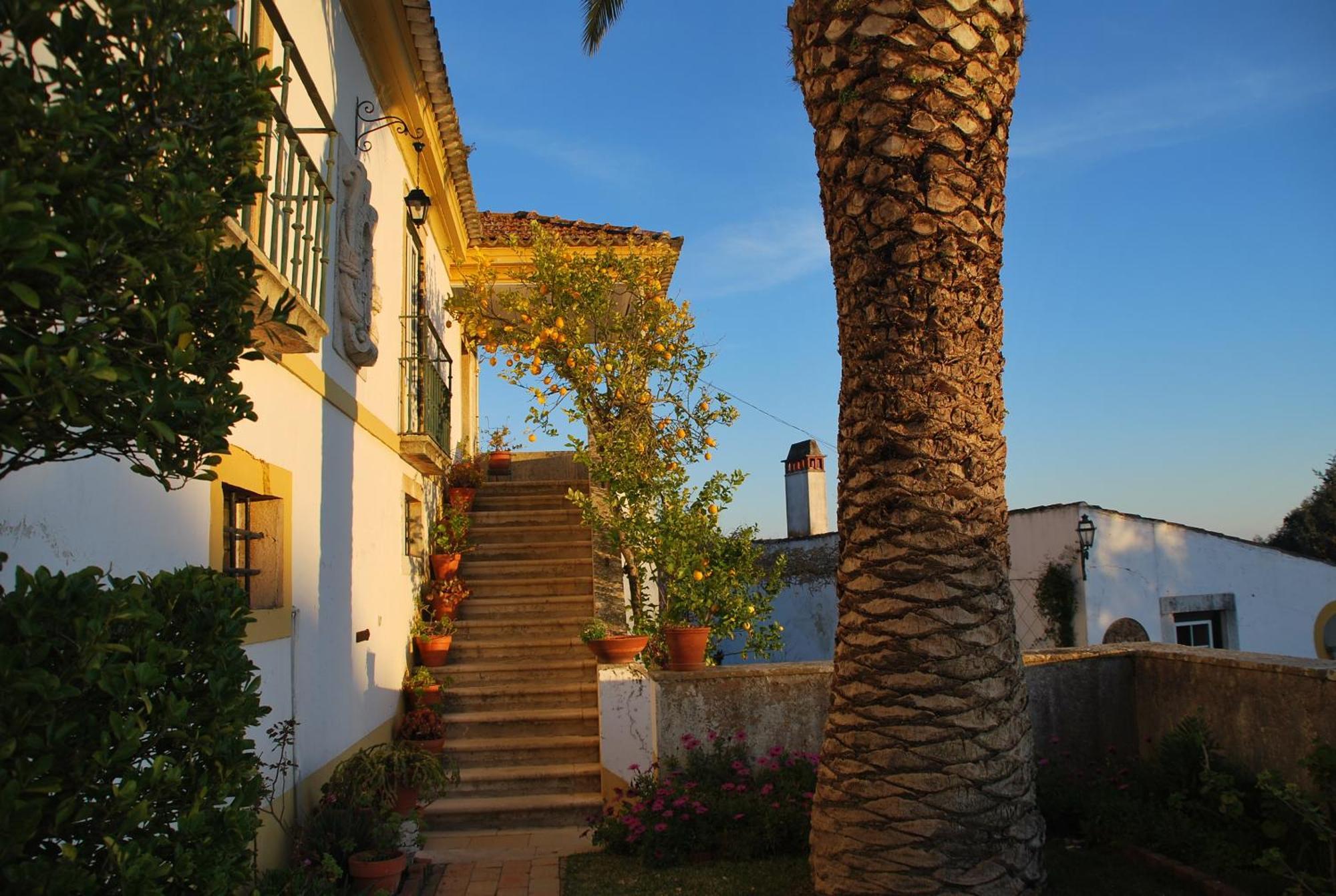 Quinta De Santa Barbara By Heavens Sleepy Hotel Constância Buitenkant foto